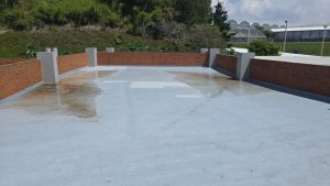 Julio Verne Paneles Solares Ecolumen