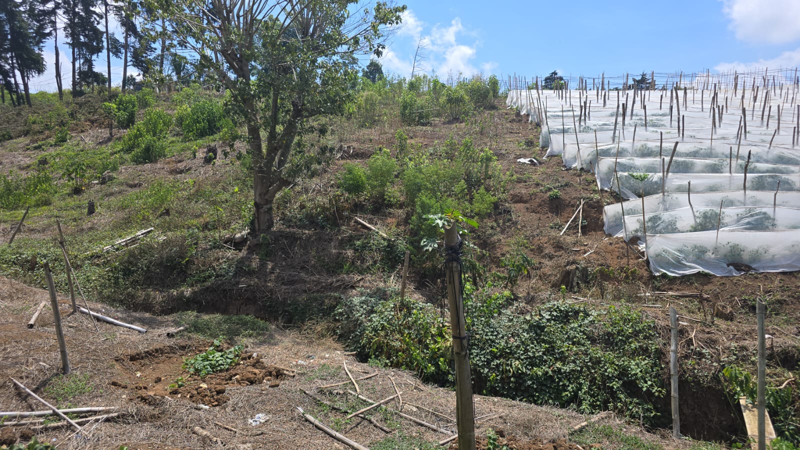 Julio Verne Paneles Solares Ecolumen