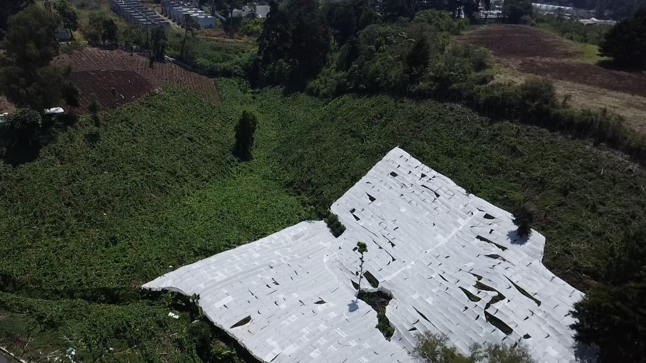 Julio Verne Paneles Solares Ecolumen