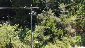 Julio Verne Paneles Solares Ecolumen